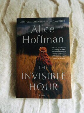 'The Invisible Hour' Paperback Alice Hoffman